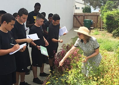 Boys Learn Best in Natural Sunlight